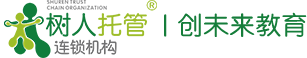 大玩家app